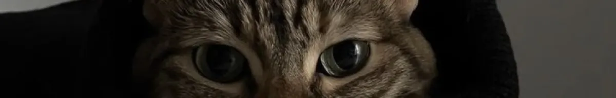 Author page header wrapper