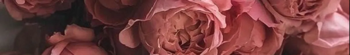 Author page header wrapper