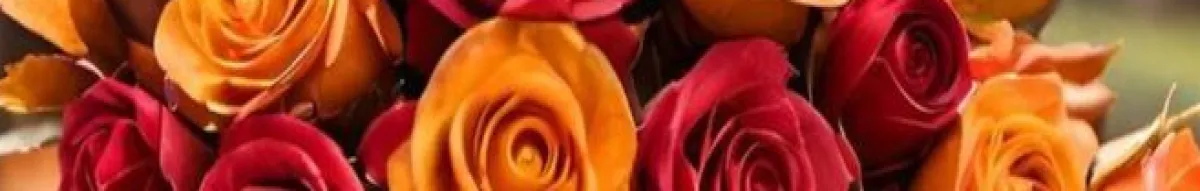 Author page header wrapper