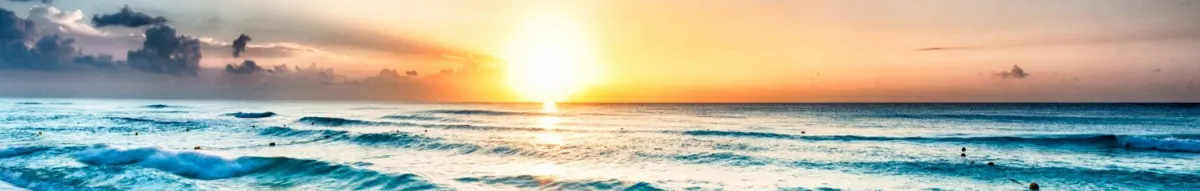 Author page header wrapper