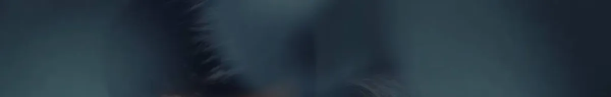 Author page header wrapper