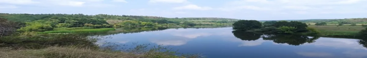 Author page header wrapper