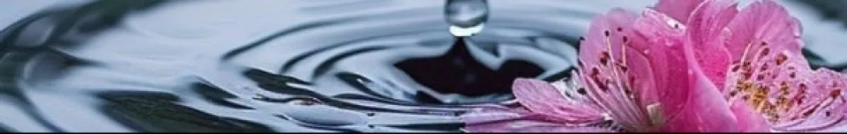 Author page header wrapper