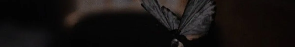 Author page header wrapper