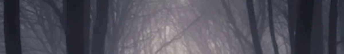 Author page header wrapper