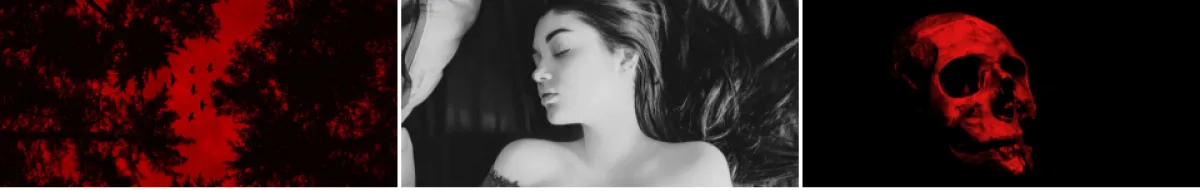 Author page header wrapper