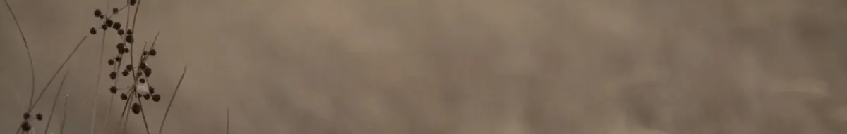 Author page header wrapper