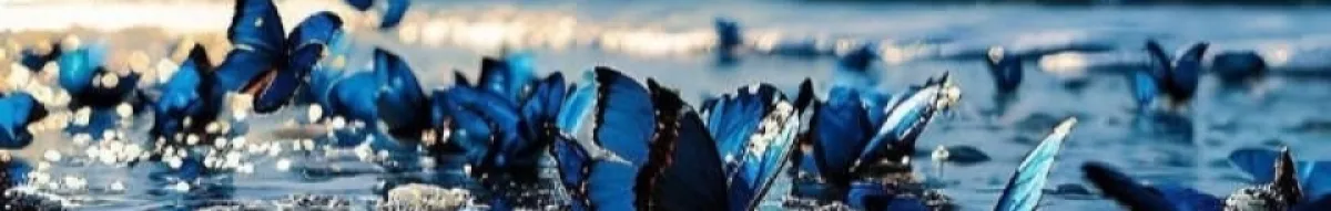 Author page header wrapper