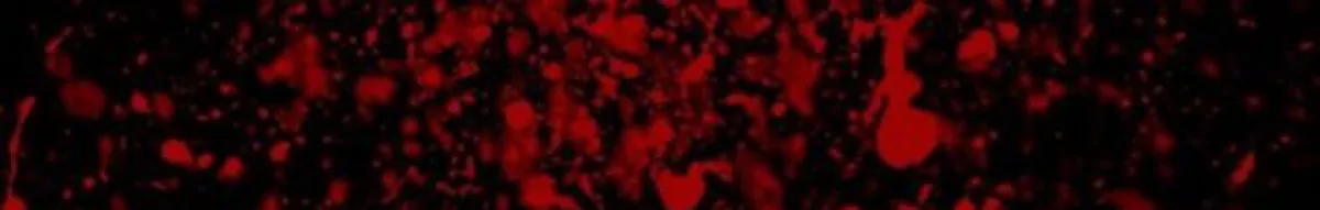 Author page header wrapper