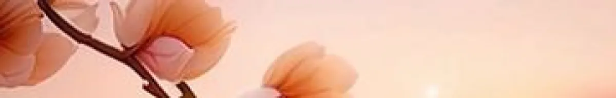 Author page header wrapper