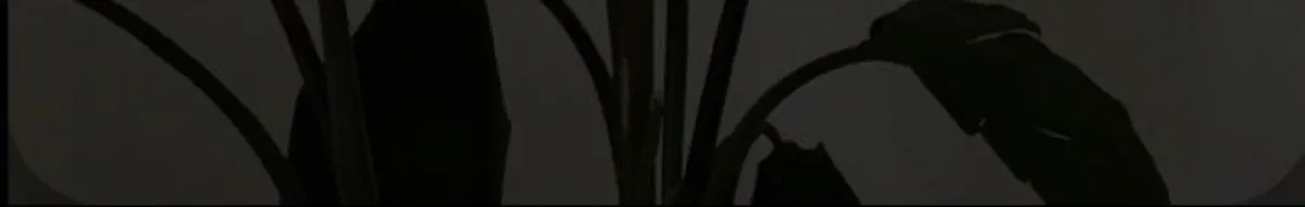 Author page header wrapper