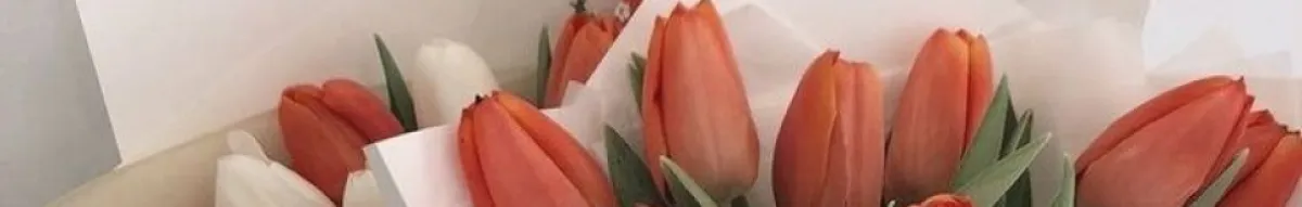 Author page header wrapper