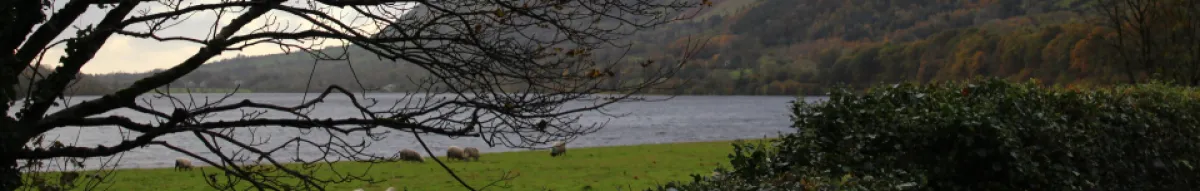 Author page header wrapper