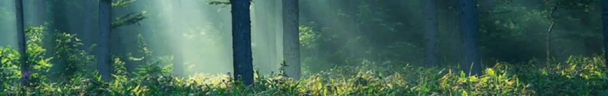 Author page header wrapper