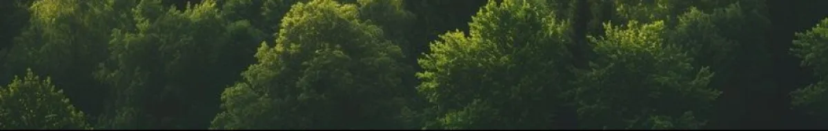 Author page header wrapper