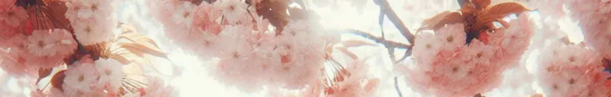 Author page header wrapper