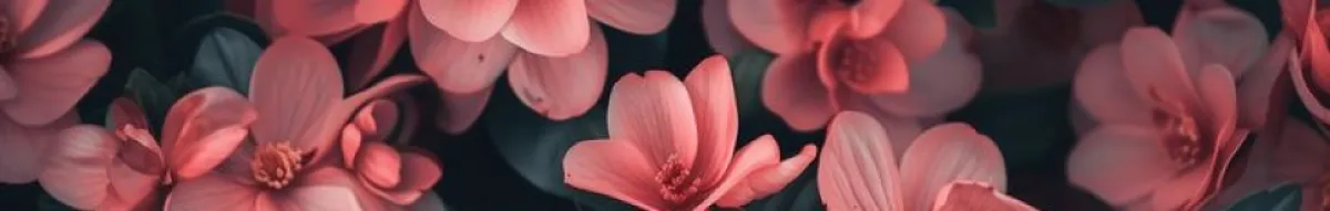 Author page header wrapper