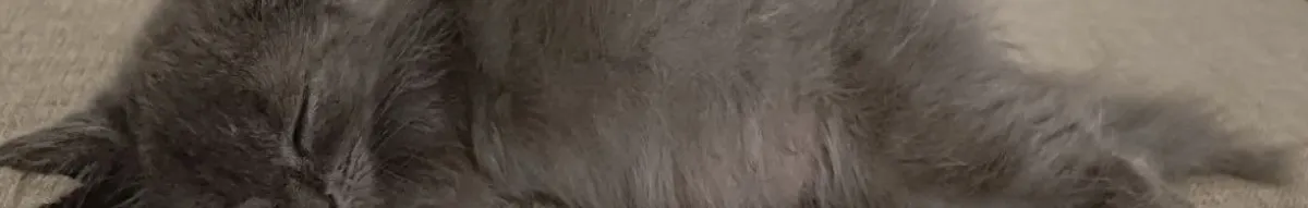 Author page header wrapper