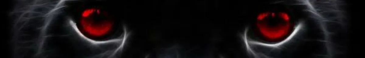 Author page header wrapper