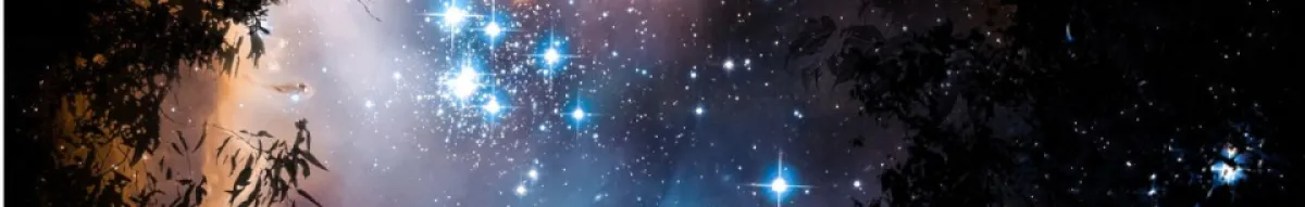 Author page header wrapper