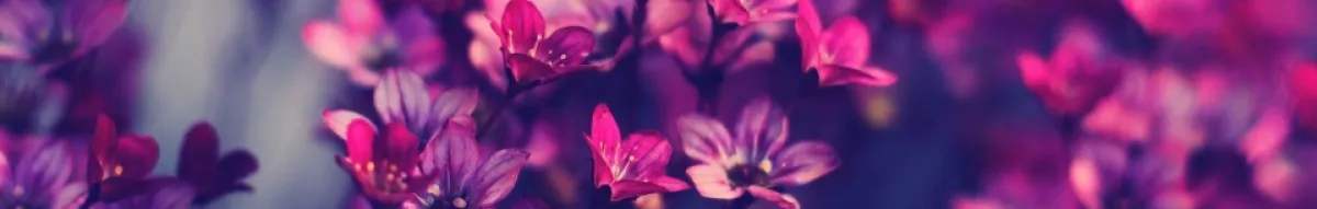 Author page header wrapper