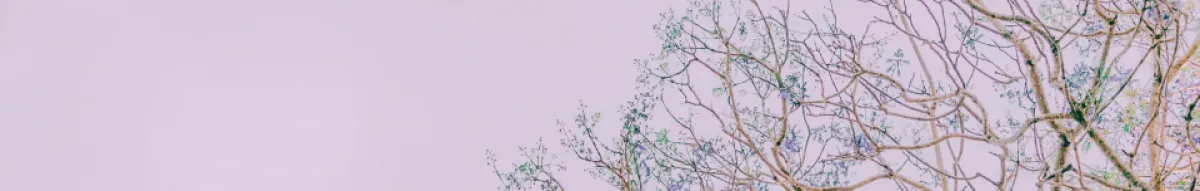 Author page header wrapper