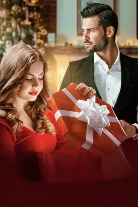 An Accidental Christmas Girl for a Cynic by Eva Rain
