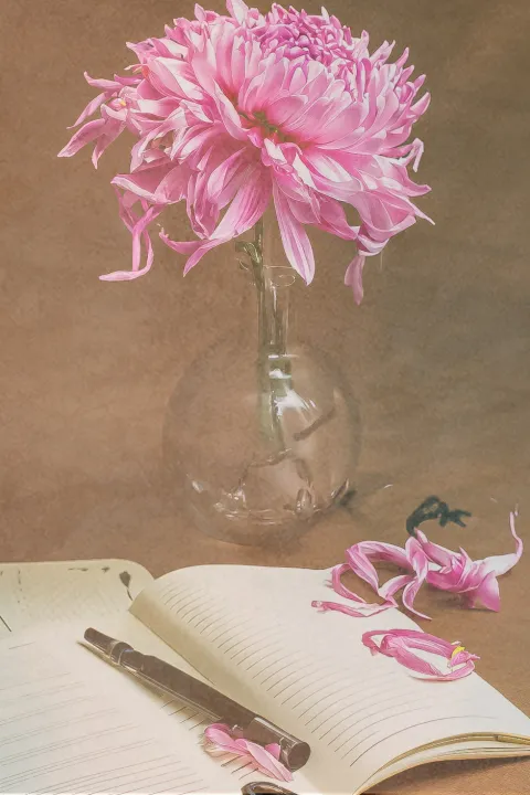 Expression of a fragile love by Laura Lazuli