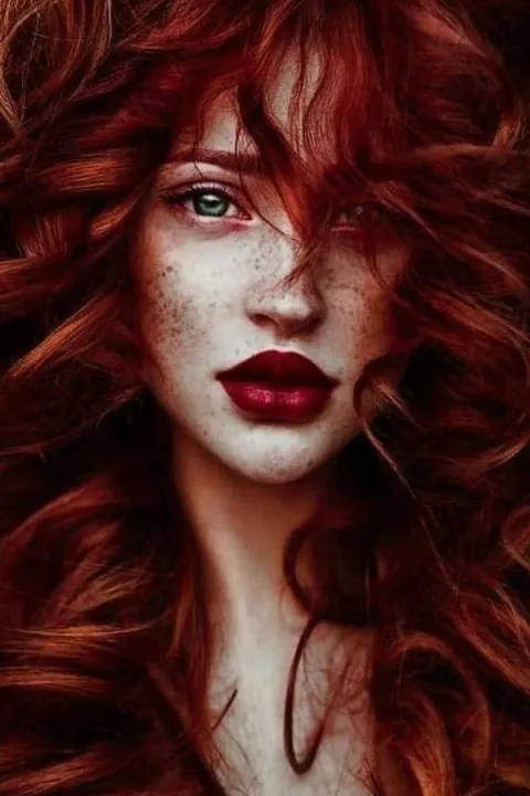 The Red Seagull by Lavanda Riz