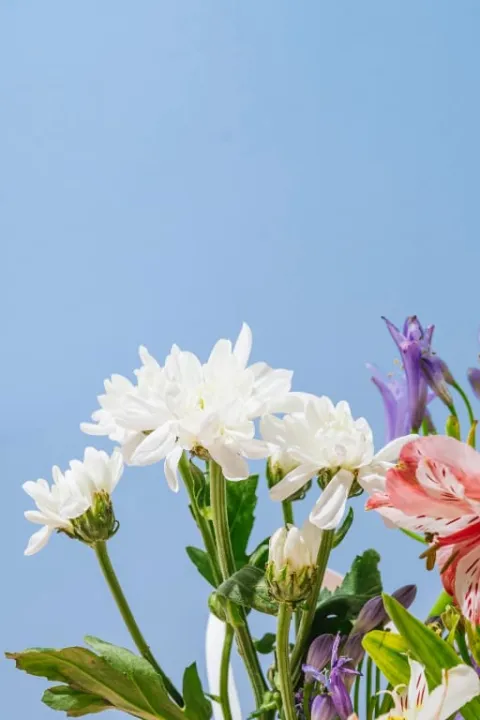 Behind the Imposisible by Alana Zoe - (18+)