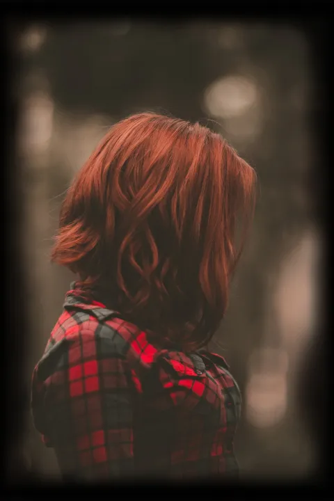 The Gate. Scorched Land by Anna Potii