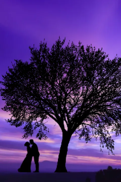 Crazy Coincidence by Jennifer V Genhessis