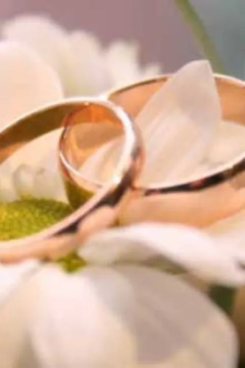 Fake marriage or I LOVE YOU by Lady Fox