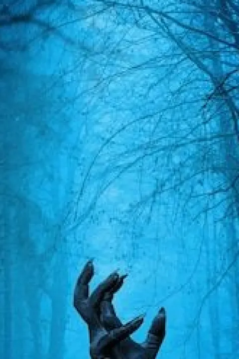 survival z by Desiree Burillo