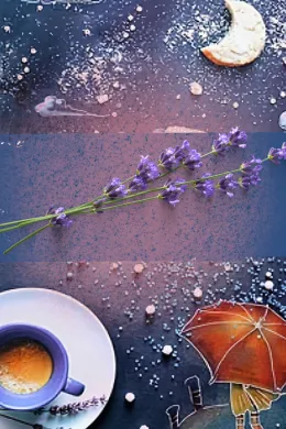 Dezembro de Lavanda de Olha Horova
