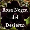 rosa-negra-del-desierto avatar