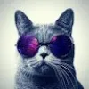laukeer avatar