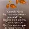 yanisel-rivera avatar