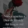 citevedu avatar