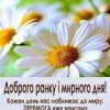 oksana-godziur avatar